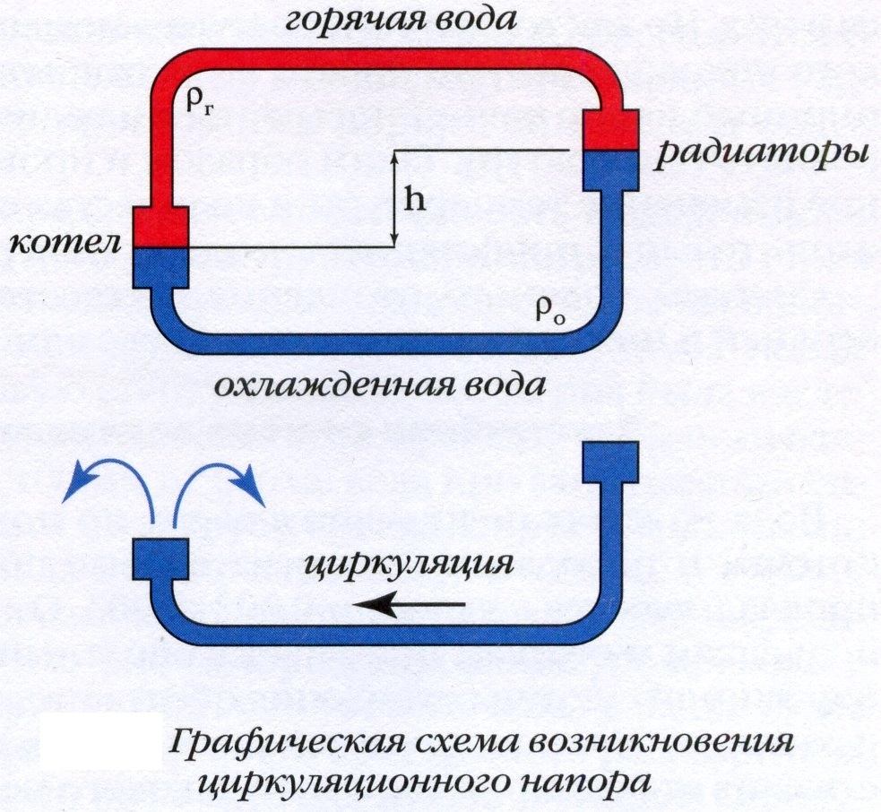 Схема циркуляции воды в системе отопления
