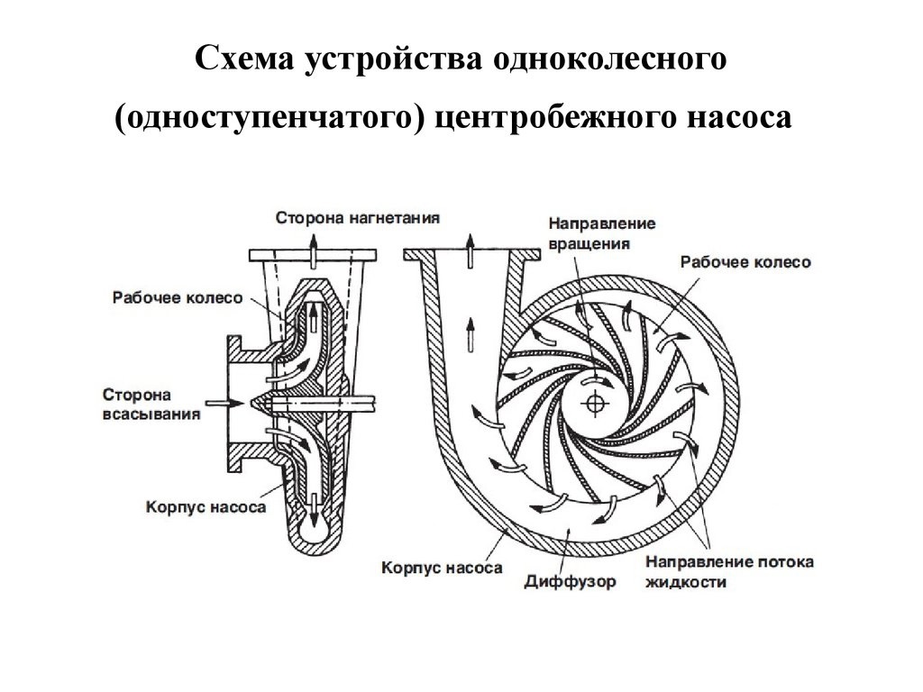 Схема устройства центробежного насоса