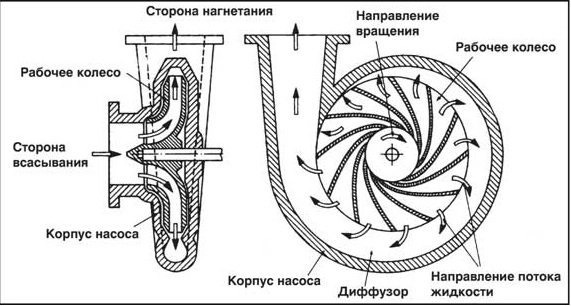 Схема центробежного насоса