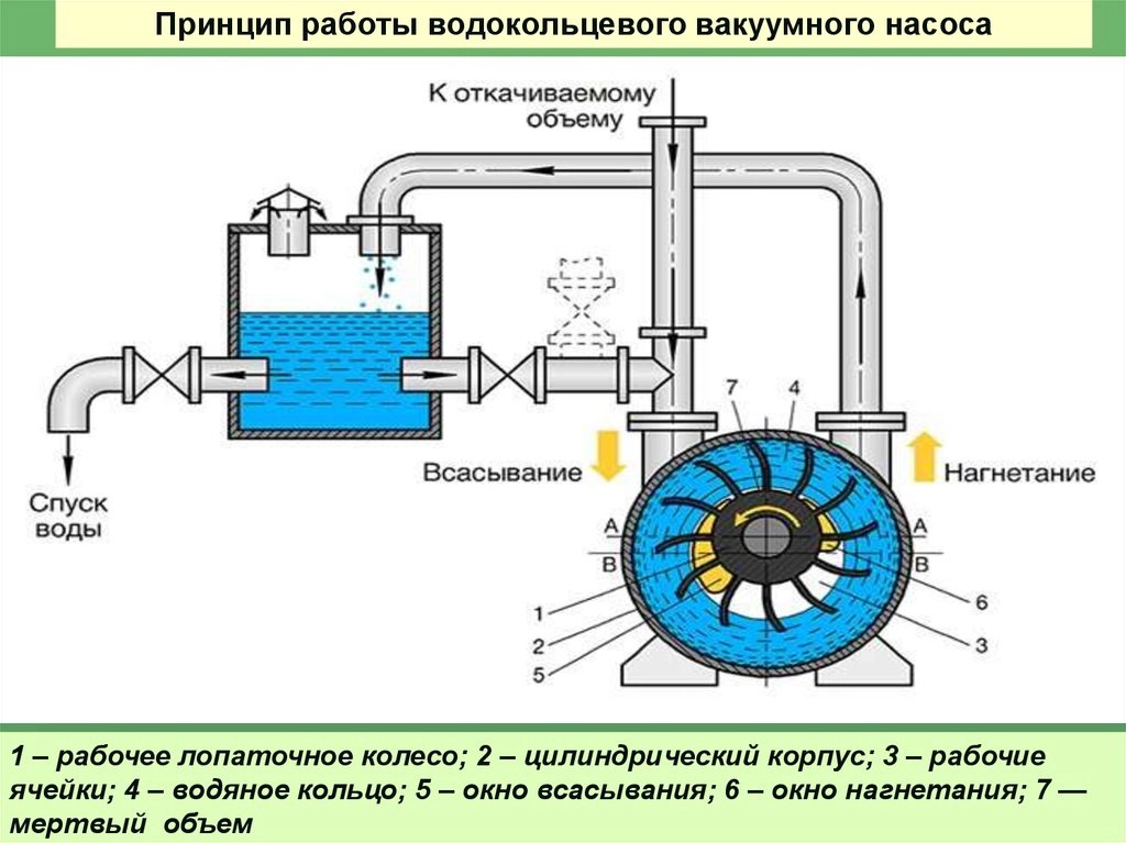 Схема водокольцевого вакуумного насоса