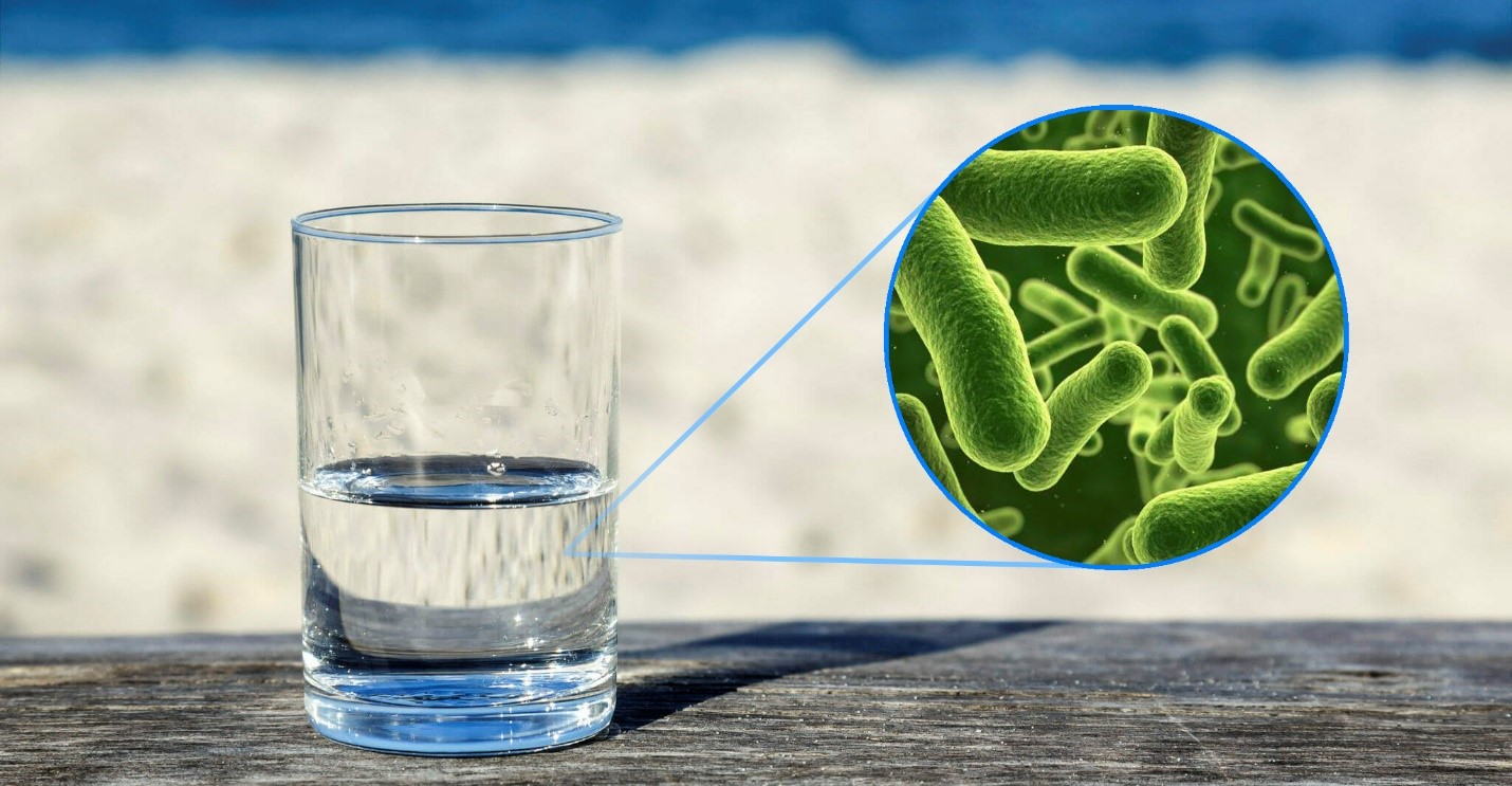 Бактерии в питьевой воде