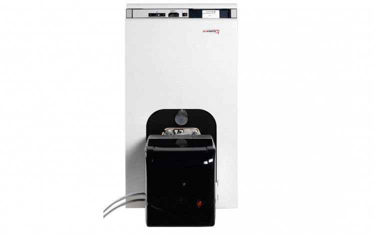 Чугунный комбинированный котел Protherm Бизон 35 NL